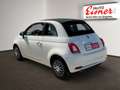 Fiat 500C 500 Cabrio 1.0 Dolce Vita LM PDC Weiß - thumbnail 12