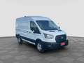 Ford Transit Transit 350 2.0TDCi EcoBlue 165CV PM-TM Furgone Tr Alb - thumbnail 7