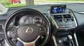 Lexus NX 300 NX  300h 2.5 Icon 4wd cvt Bianco - thumbnail 5