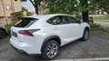 Lexus NX 300 NX  300h 2.5 Icon 4wd cvt Bianco - thumbnail 1