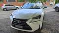 Lexus NX 300 NX  300h 2.5 Icon 4wd cvt Bianco - thumbnail 3