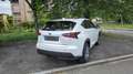 Lexus NX 300 NX  300h 2.5 Icon 4wd cvt Bianco - thumbnail 2