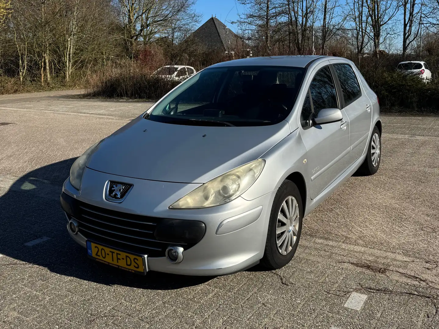 Peugeot 307 307 1.6-16V Oxygo Zilver - 1
