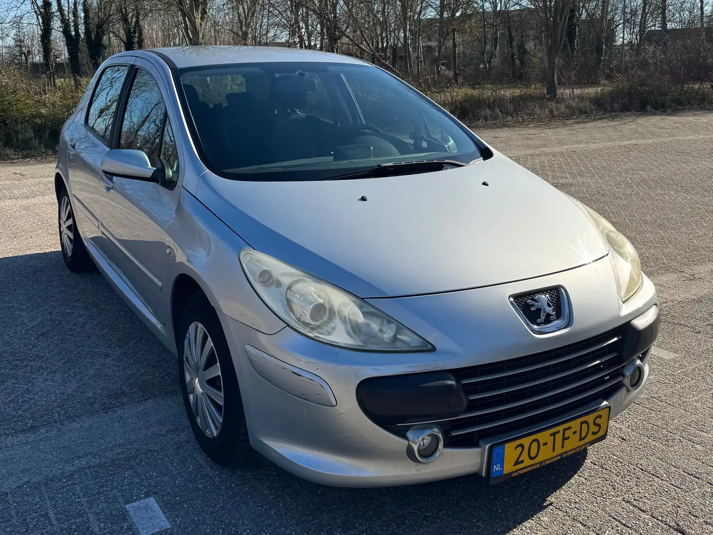 Peugeot 307 307 1.6-16V Oxygo Zilver - 2