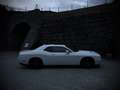 Dodge Challenger 3.6l V6 Weiß - thumbnail 5