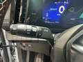 Renault Megane E-Tech Esprit Alpine 220 Comfort Range Grau - thumbnail 40