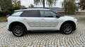 Citroen C4 Cactus Shine AUTOMATIK KLIMA TEMPOMAT R-KAM SHZ Weiß - thumbnail 3