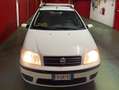 Fiat Punto 1,3 multijet diesel motion Bianco - thumbnail 5