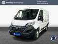 Opel Movano-e L1H1 (37-kWh) verstärkt Edition Blanc - thumbnail 1