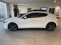 Mazda 3 Mazda 3 2.5L MT m-hybrid 140cv CENTRE-LINE NUOVA Bianco - thumbnail 4