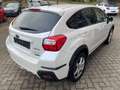 Subaru XV Comfort 4x4 Klimaautom Sitzheizg Tempom Weiß - thumbnail 5