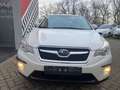 Subaru XV Comfort 4x4 Klimaautom Sitzheizg Tempom Weiß - thumbnail 7