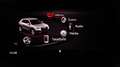 Audi Q2 30 1.0 tfsi Admired Advanced Verde - thumbnail 16