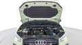 Audi Q2 30 1.0 tfsi Admired Advanced Verde - thumbnail 11