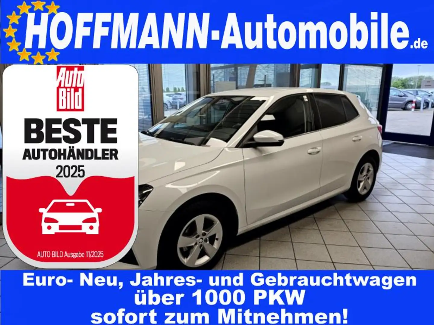 Skoda Fabia Selection Climatr.,PDC,Alu,Sitzhzg.,AppCon Weiß - 1