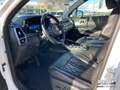 Kia Sorento 2.2 CRDi 4WD Platinum Pano HUD Blanc - thumbnail 7