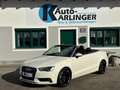 Audi A3 Cabrio 2,0 TDI Ambiente S-tronic Weiß - thumbnail 1