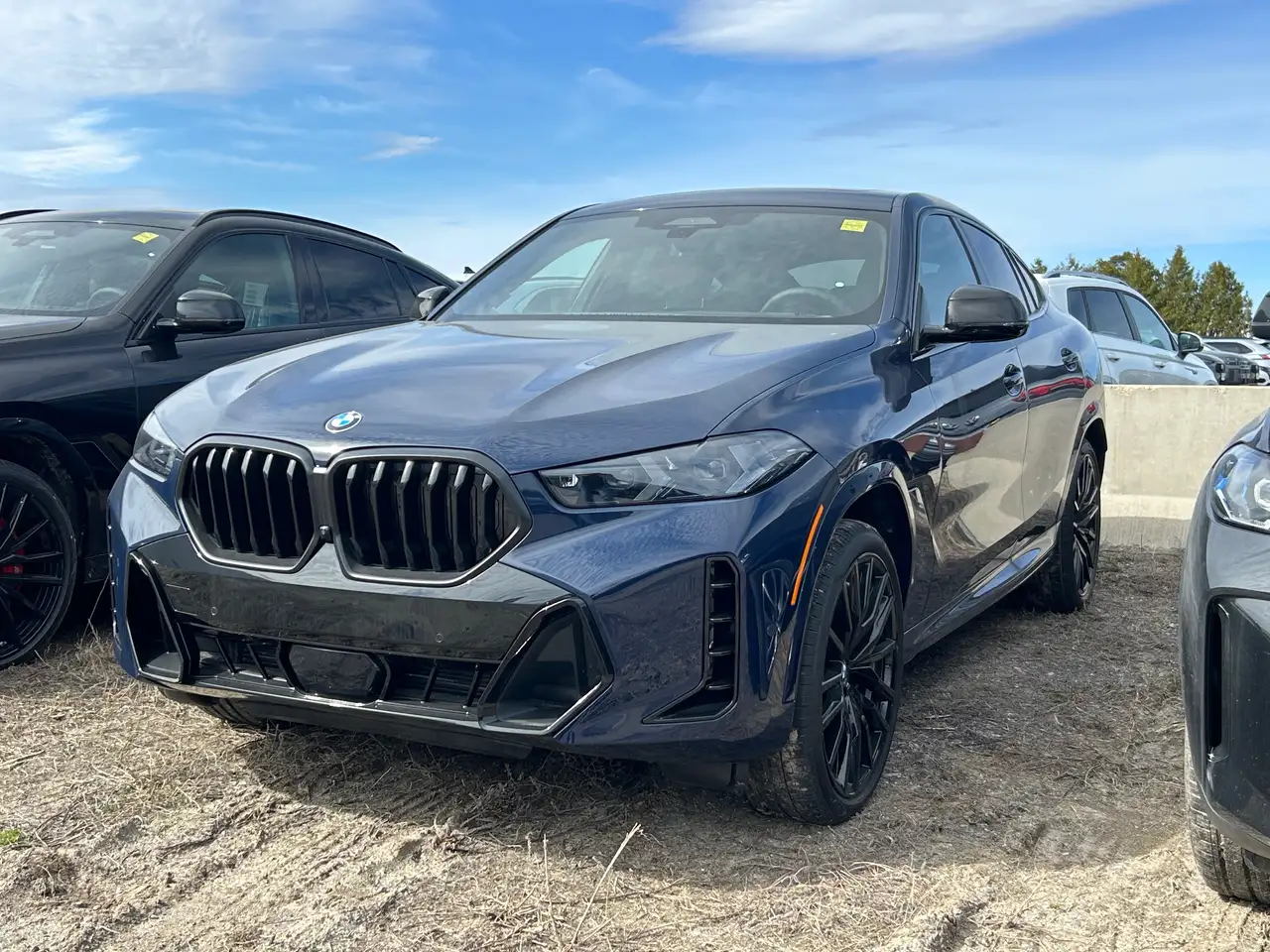 2026 BMW X6