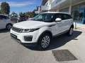 Land Rover Range Rover Evoque Range Rover Evoque I 2016 5p 2.0 td4 SE 150cv auto Bianco - thumbnail 2
