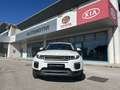 Land Rover Range Rover Evoque Range Rover Evoque I 2016 5p 2.0 td4 SE 150cv auto Bianco - thumbnail 1