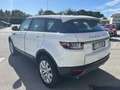 Land Rover Range Rover Evoque Range Rover Evoque I 2016 5p 2.0 td4 SE 150cv auto Bianco - thumbnail 6