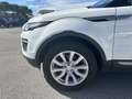 Land Rover Range Rover Evoque Range Rover Evoque I 2016 5p 2.0 td4 SE 150cv auto Bianco - thumbnail 4