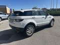 Land Rover Range Rover Evoque Range Rover Evoque I 2016 5p 2.0 td4 SE 150cv auto Bianco - thumbnail 8