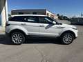 Land Rover Range Rover Evoque Range Rover Evoque I 2016 5p 2.0 td4 SE 150cv auto Bianco - thumbnail 9