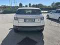 Land Rover Range Rover Evoque Range Rover Evoque I 2016 5p 2.0 td4 SE 150cv auto Bianco - thumbnail 7