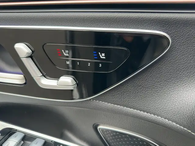 Mercedes-Benz EQE 350 4M Electric-Art NP: 90.988 LED AHV Distr Ansicht 14