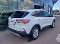 Ford Kuga 2,0 EcoBlue AWD Titanium Aut. Weiß - thumbnail 5