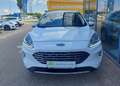 Ford Kuga 2,0 EcoBlue AWD Titanium Aut. Weiß - thumbnail 2