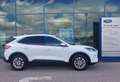 Ford Kuga 2,0 EcoBlue AWD Titanium Aut. Weiß - thumbnail 3