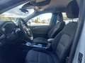 Ford Kuga 2,0 EcoBlue AWD Titanium Aut. Weiß - thumbnail 8