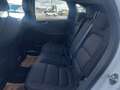 Ford Kuga 2,0 EcoBlue AWD Titanium Aut. Weiß - thumbnail 7