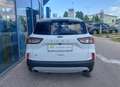 Ford Kuga 2,0 EcoBlue AWD Titanium Aut. Weiß - thumbnail 4