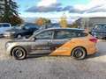 Ford Focus Turnier Nur für Gewerbe und Export Grau - thumbnail 3