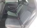 SEAT Ibiza FR Weiß - thumbnail 13