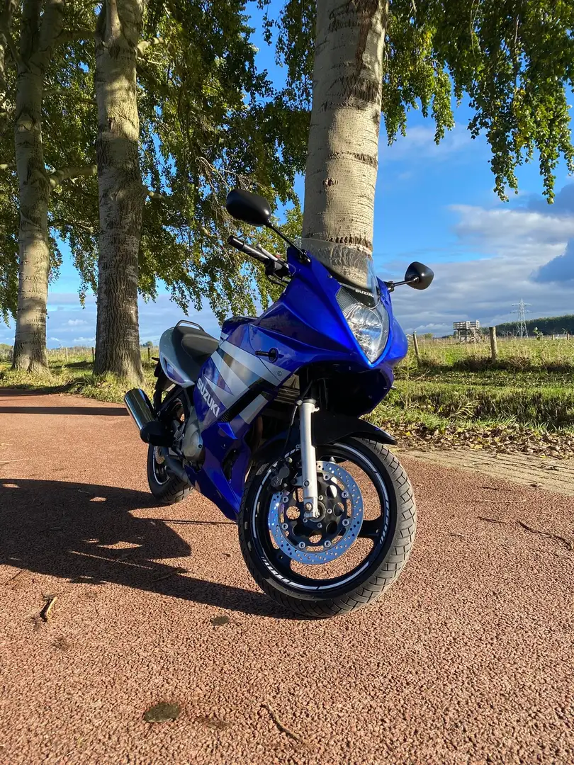 Suzuki GS 500 F Blauw - 1