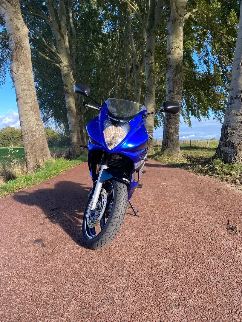 Suzuki GS 500 F Blauw - 2