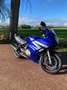 Suzuki GS 500 F Blauw - thumbnail 8