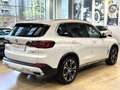 BMW X5 xdrive40i xLine - 21" - Tetto - Carplay-Camera 360 Bianco - thumbnail 4