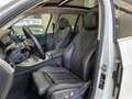 BMW X5 xdrive40i xLine - 21" - Tetto - Carplay-Camera 360 Bianco - thumbnail 10