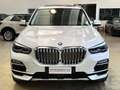 BMW X5 xdrive40i xLine - 21" - Tetto - Carplay-Camera 360 Bianco - thumbnail 6