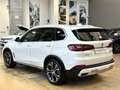 BMW X5 xdrive40i xLine - 21" - Tetto - Carplay-Camera 360 Bianco - thumbnail 3