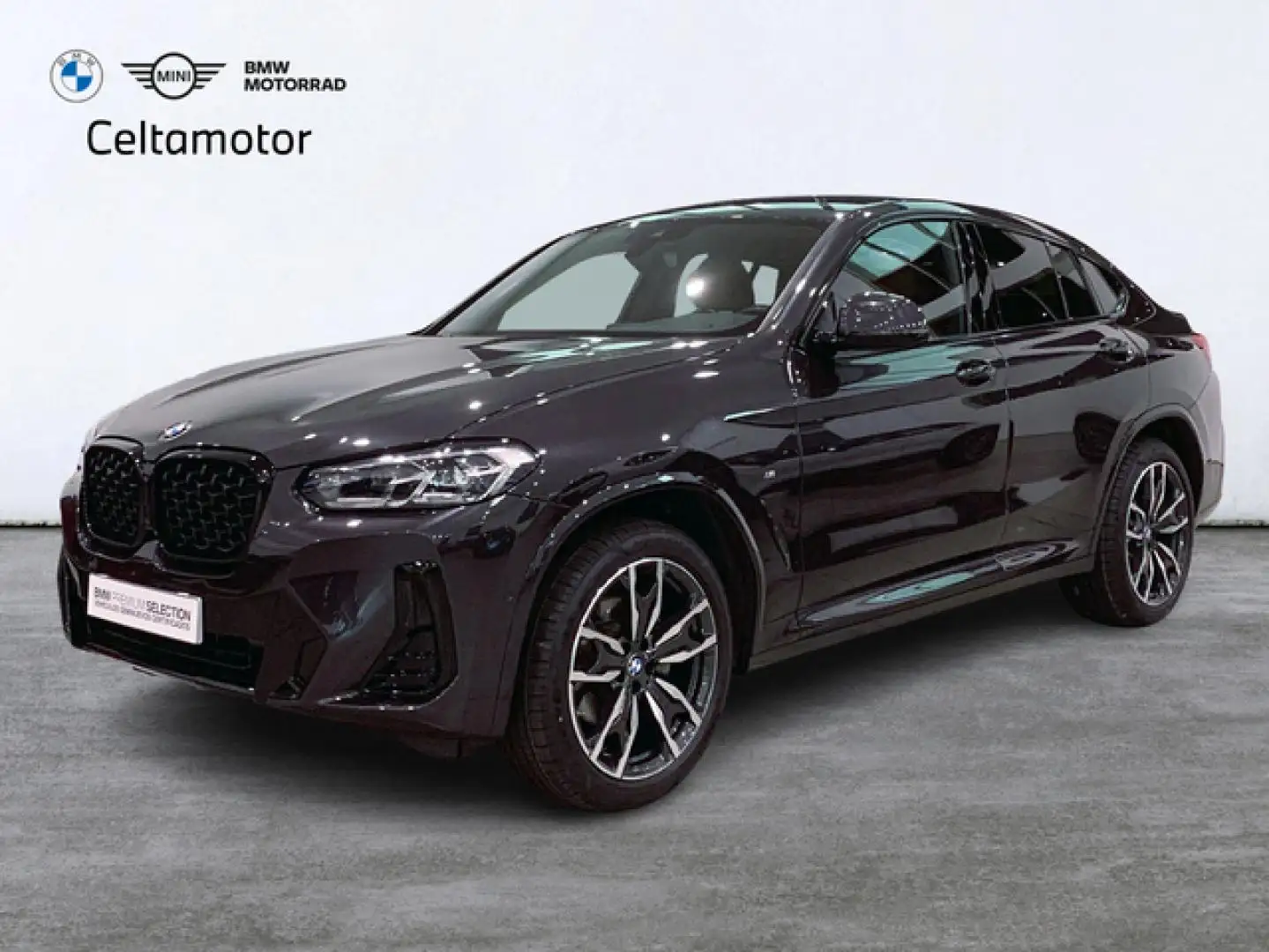 BMW X4 xDrive 20dA Gris - 1