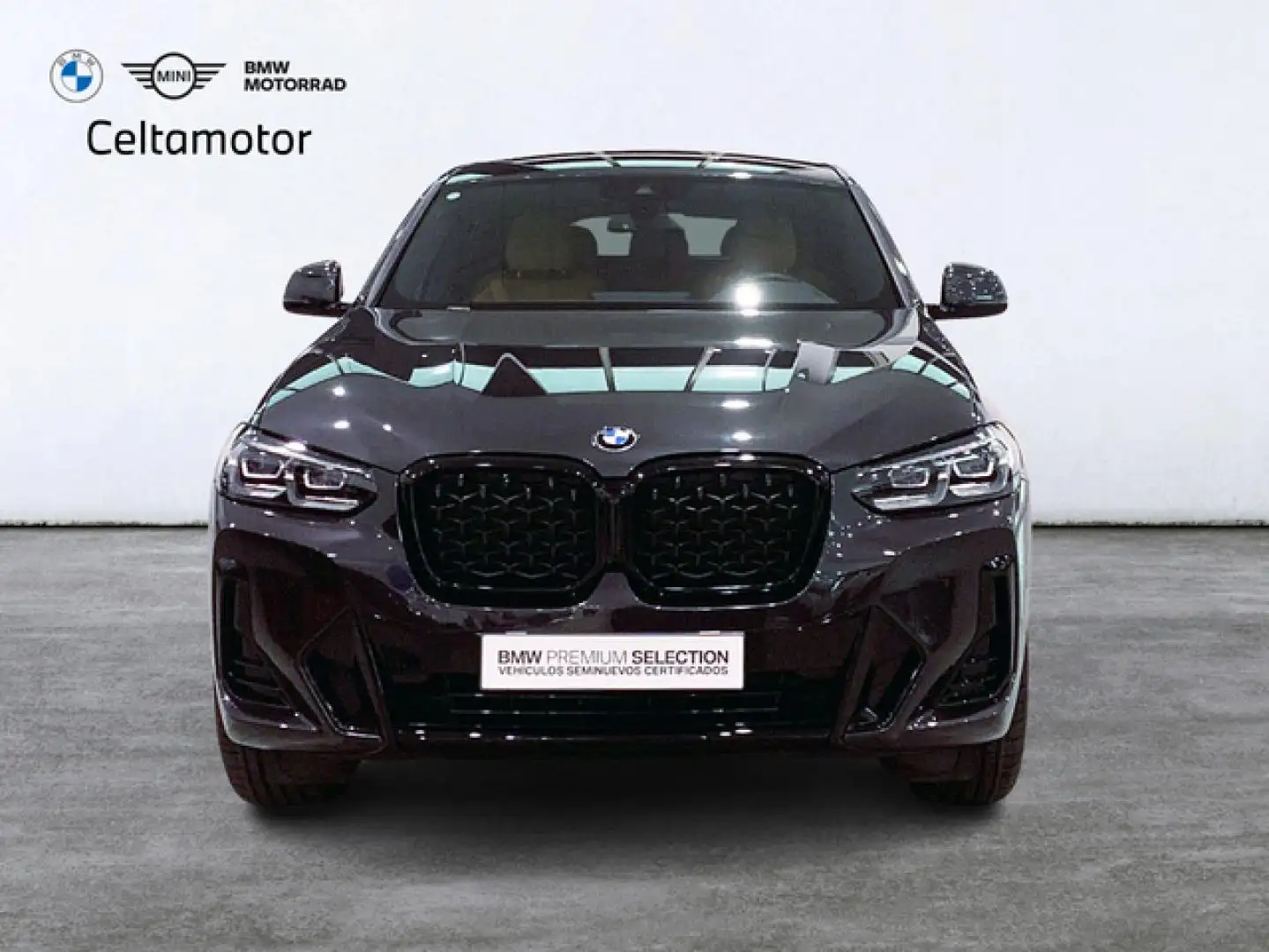 BMW X4 xDrive 20dA Gris - 2