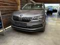 Skoda Karoq Škoda KAROQ 4x4 Ambition SC TDI DSG Grau - thumbnail 2