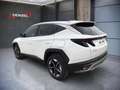 Hyundai TUCSON NX4 GO Plus 1,6 T-GDi HEV 2WD AT Weiß - thumbnail 3