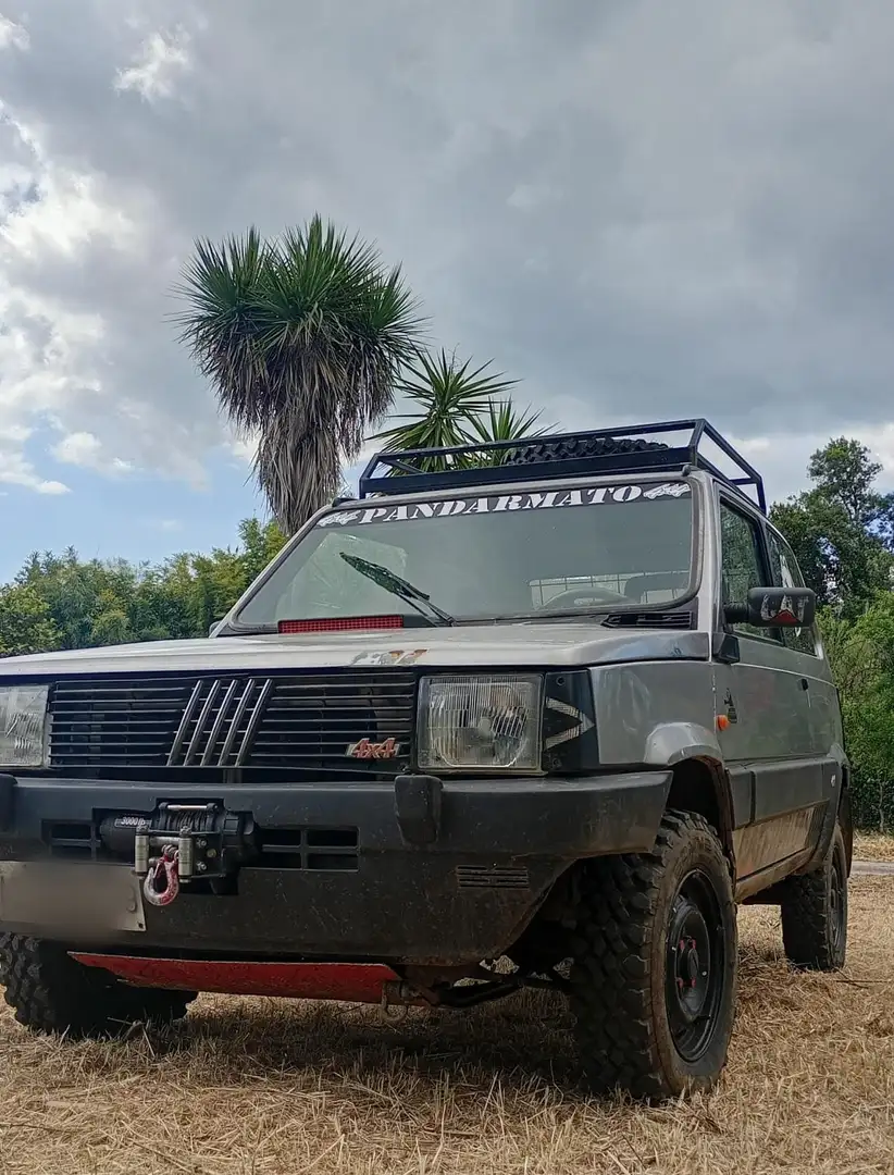 Fiat Panda Panda 1.0 fire 4x4 Gri - 2